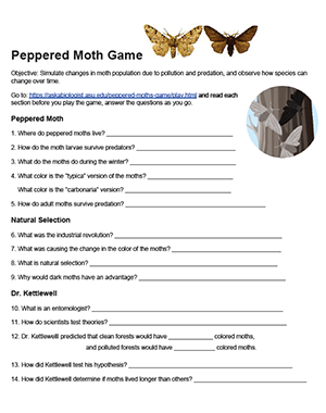 peppered moth ask a biologist worksheet