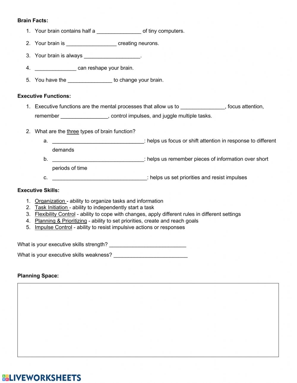 Executive Functioning Worksheet Function Worksheets