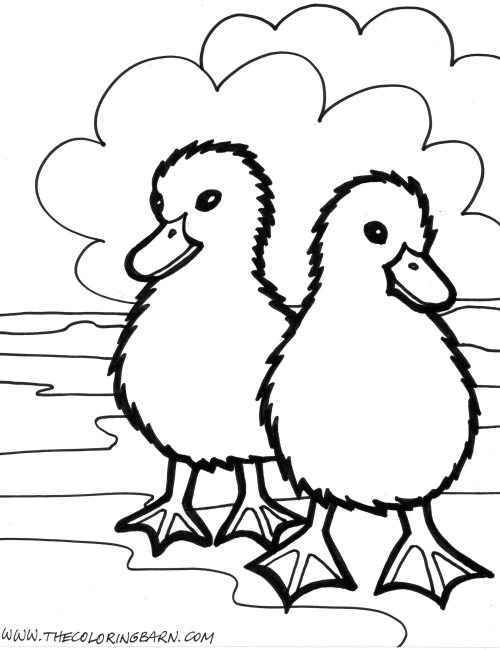 animal coloring pages for free