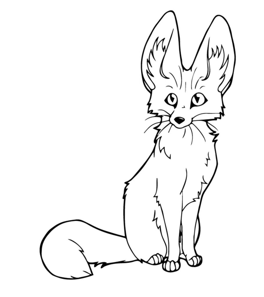 Coloring Pages Fox