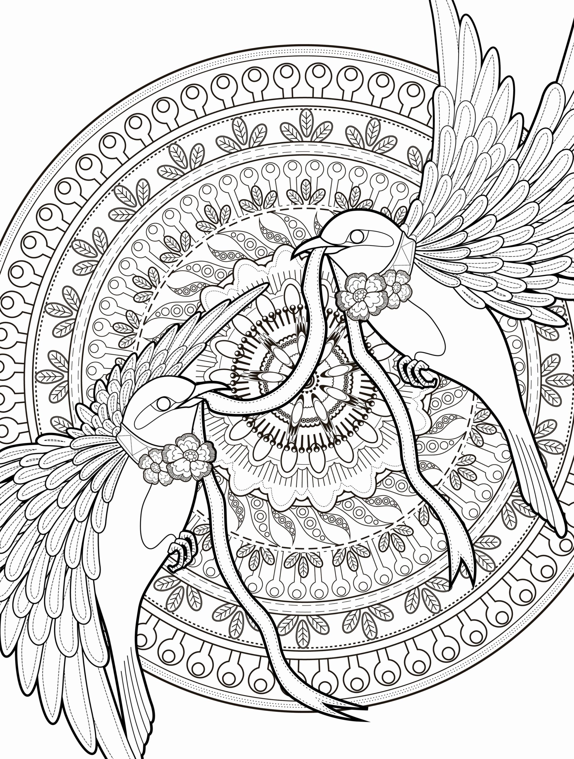 Free Adult Coloring Pages Pdf At Getcolorings Free Printable 13080