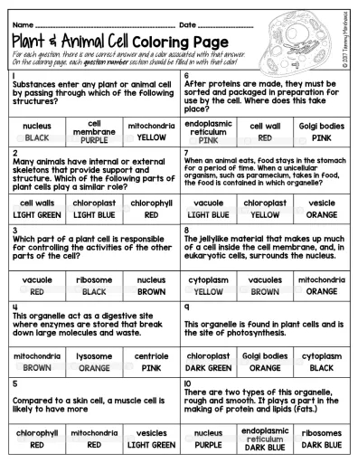 Free Biology Worksheet Download Free Biology Worksheet Png Images 
