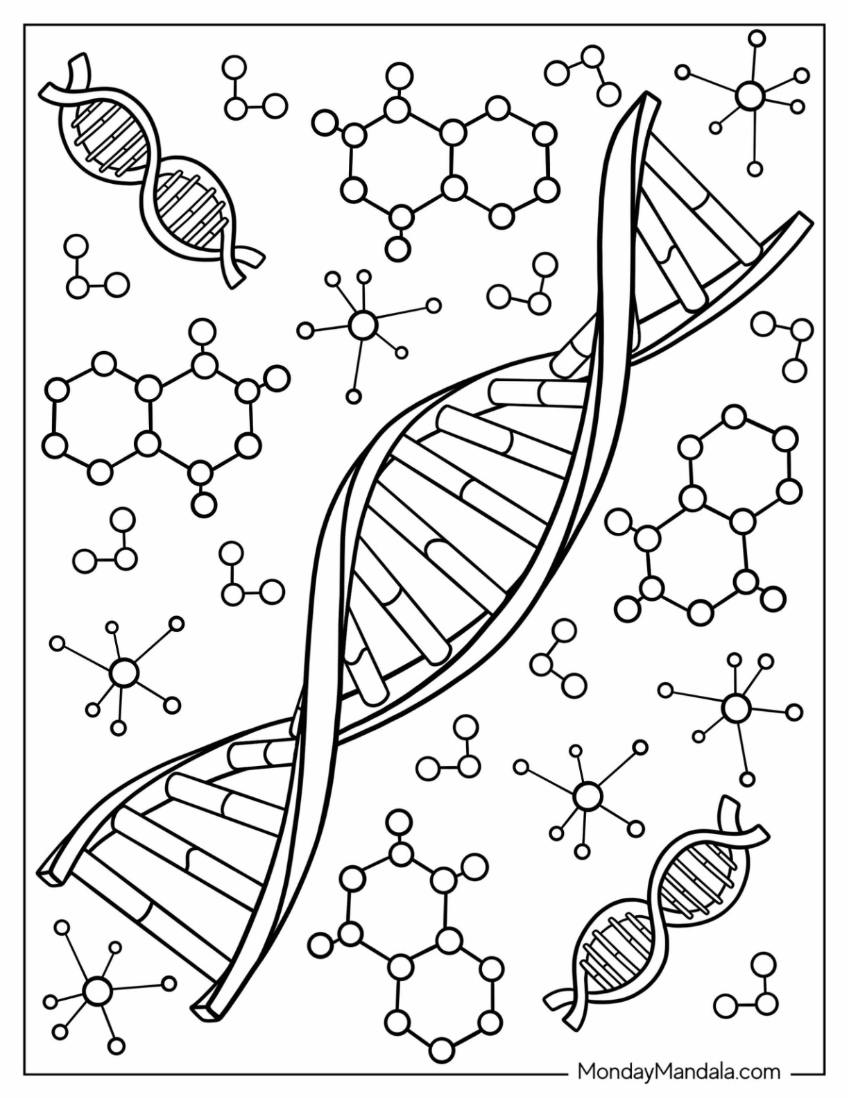 Free DNA Double Helix Worksheets Hess UnAcademy Worksheets Library
