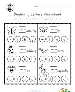 bug worksheets for preschoolers