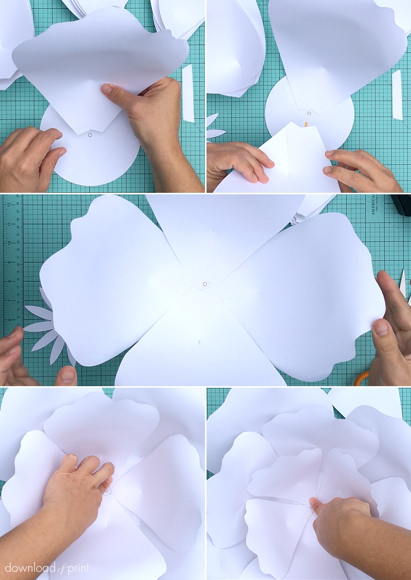 paper flower template free printable