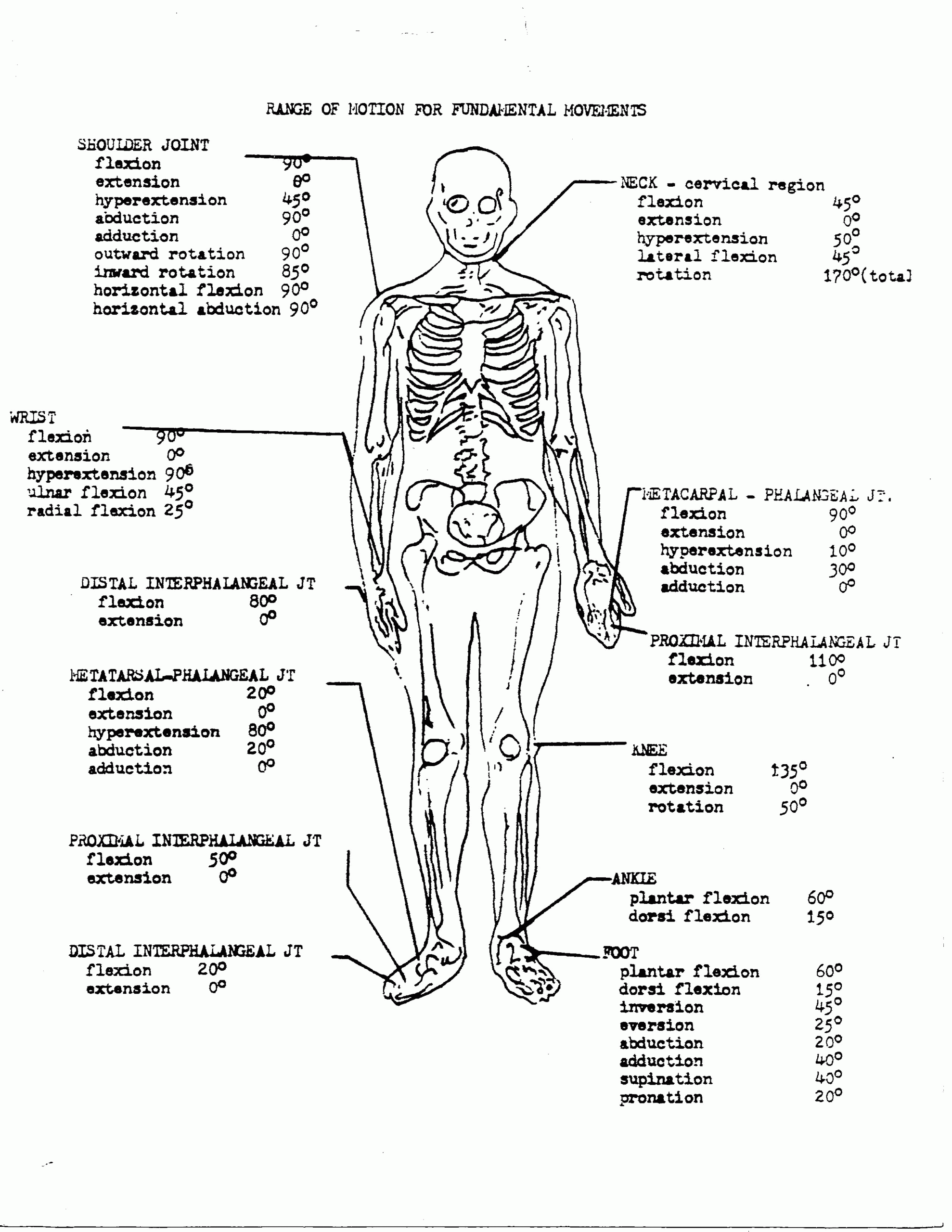 anatomy and physiology worksheets
