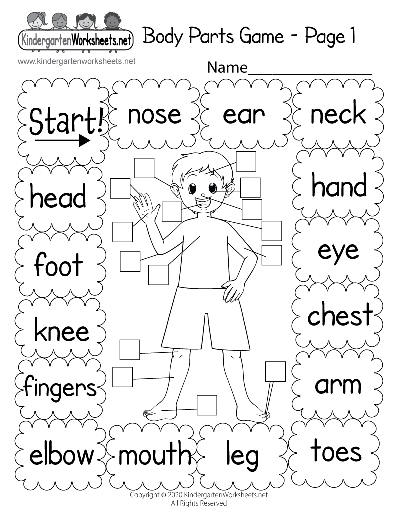 parts of a body worksheet