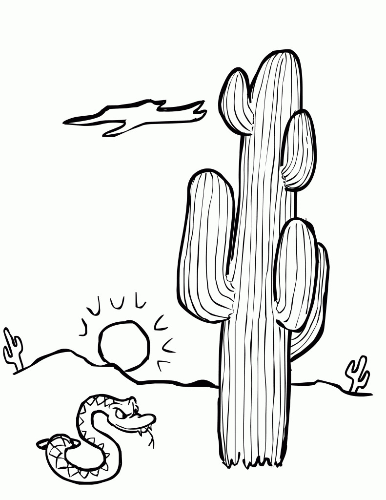 Coloring Pages Cactus