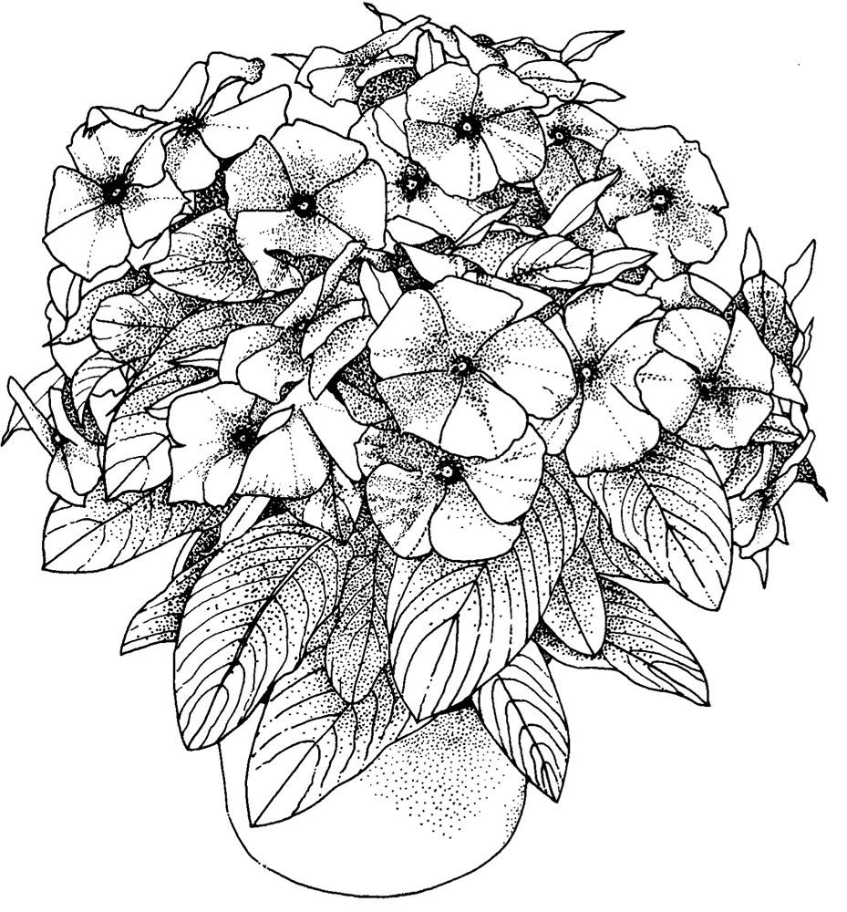 adult coloring page free
