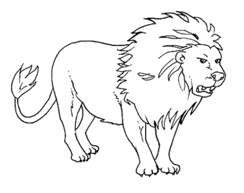 Animals Coloring Pages Printable