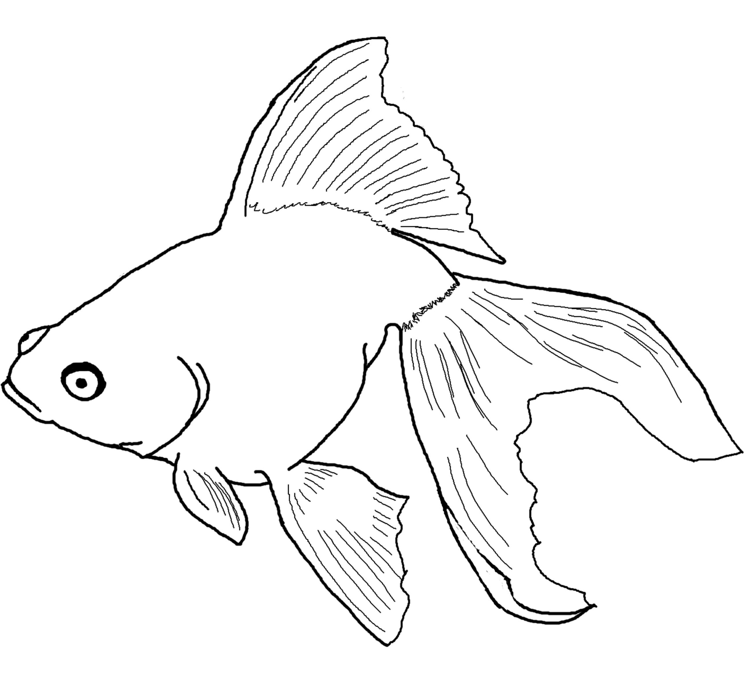 free coloring pages of fish