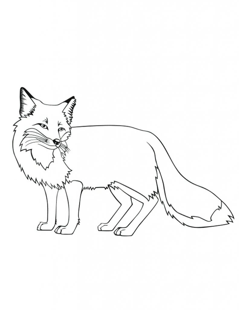 free coloring pages fox