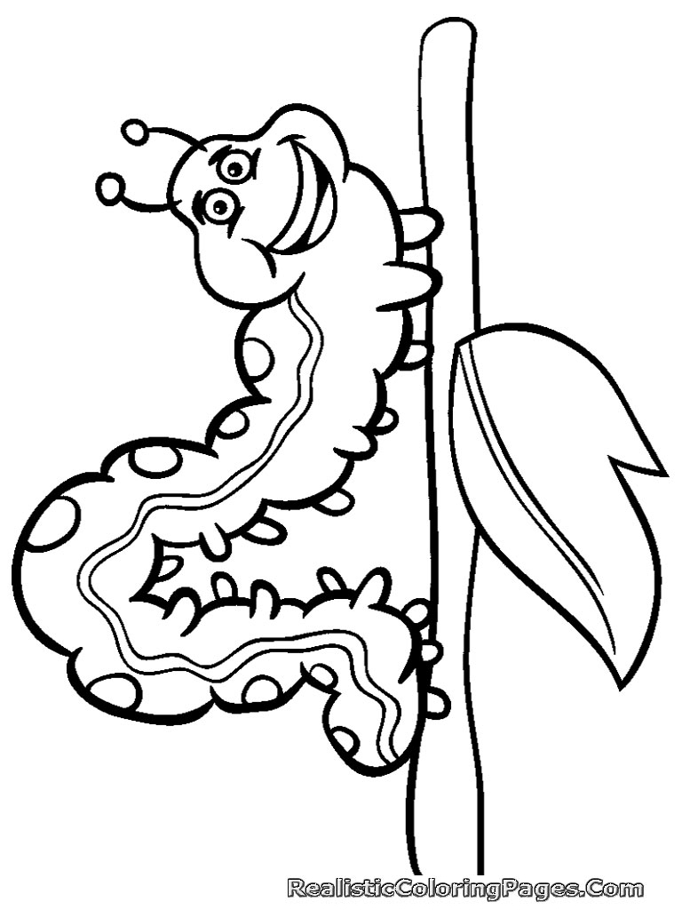free printable insect pictures