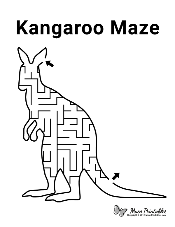 printable kangaroo pictures