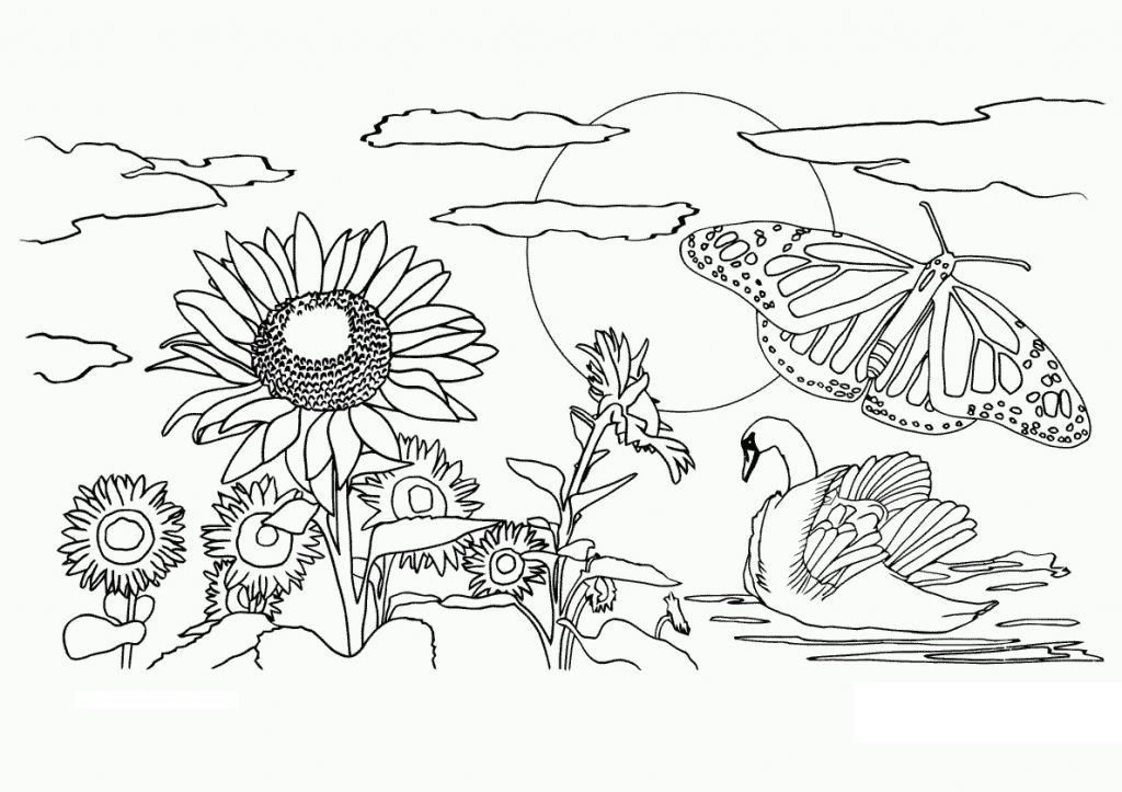 nature coloring pages free