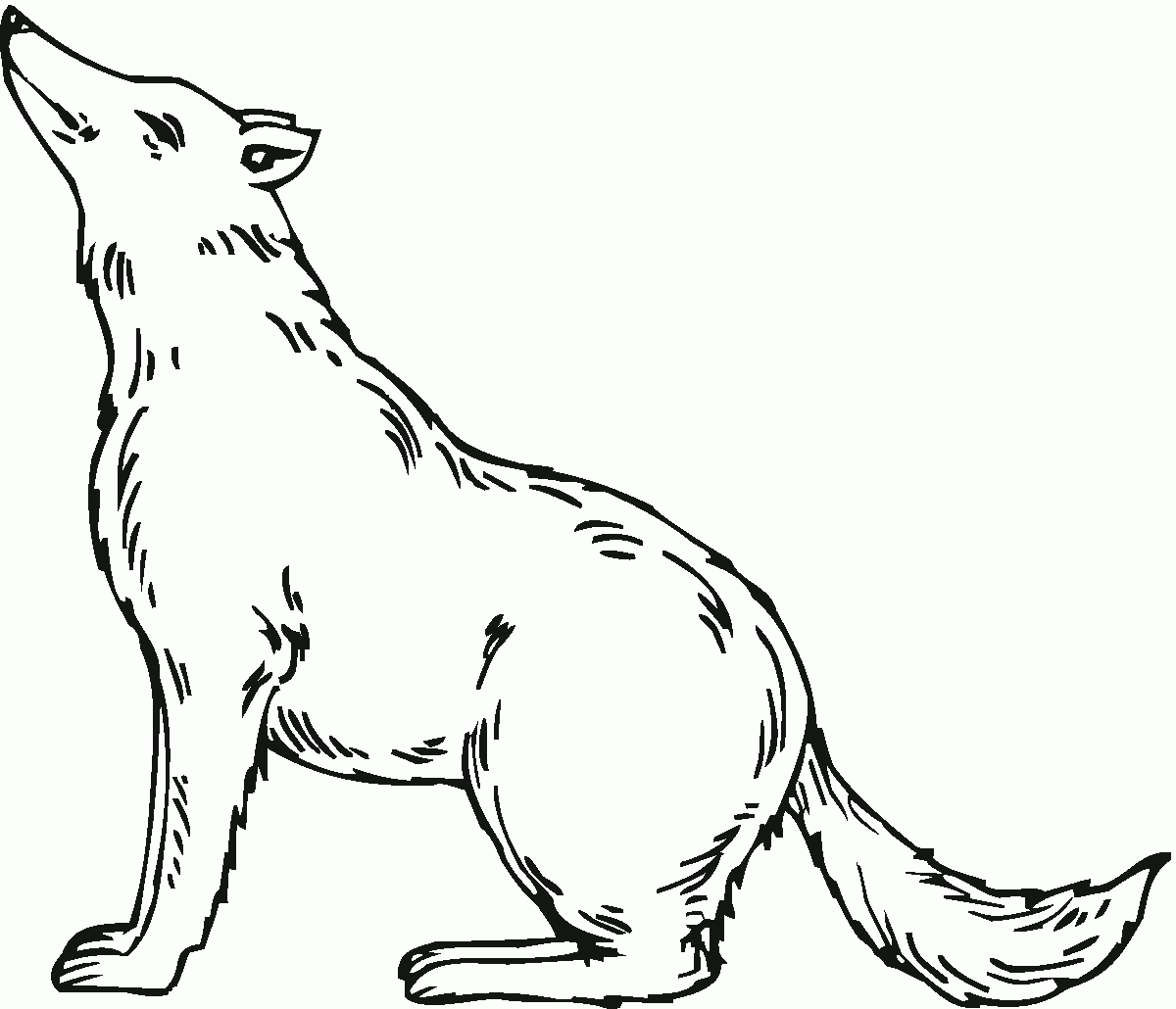 free wolf coloring pages