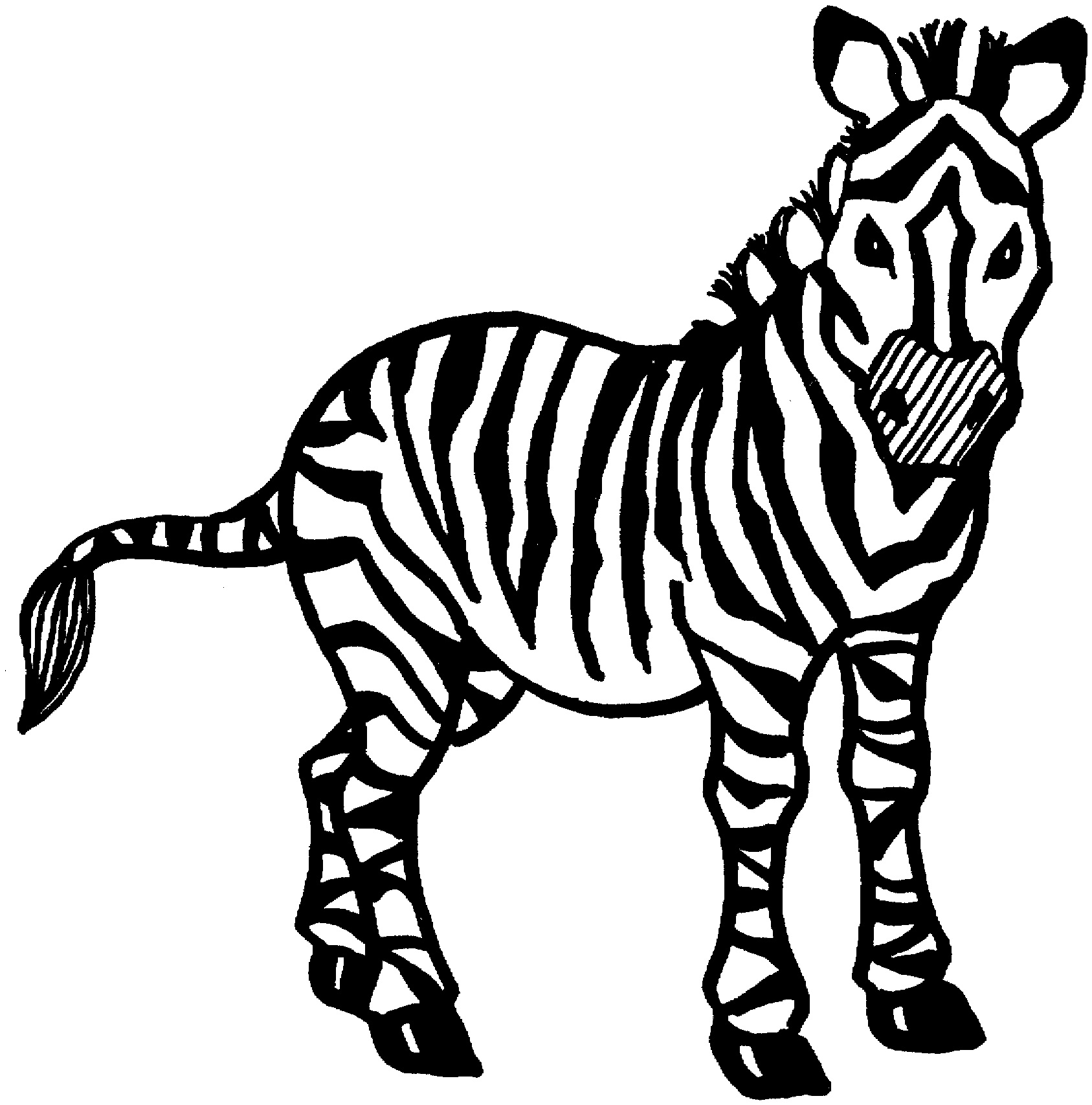 Zebra Coloring Pages