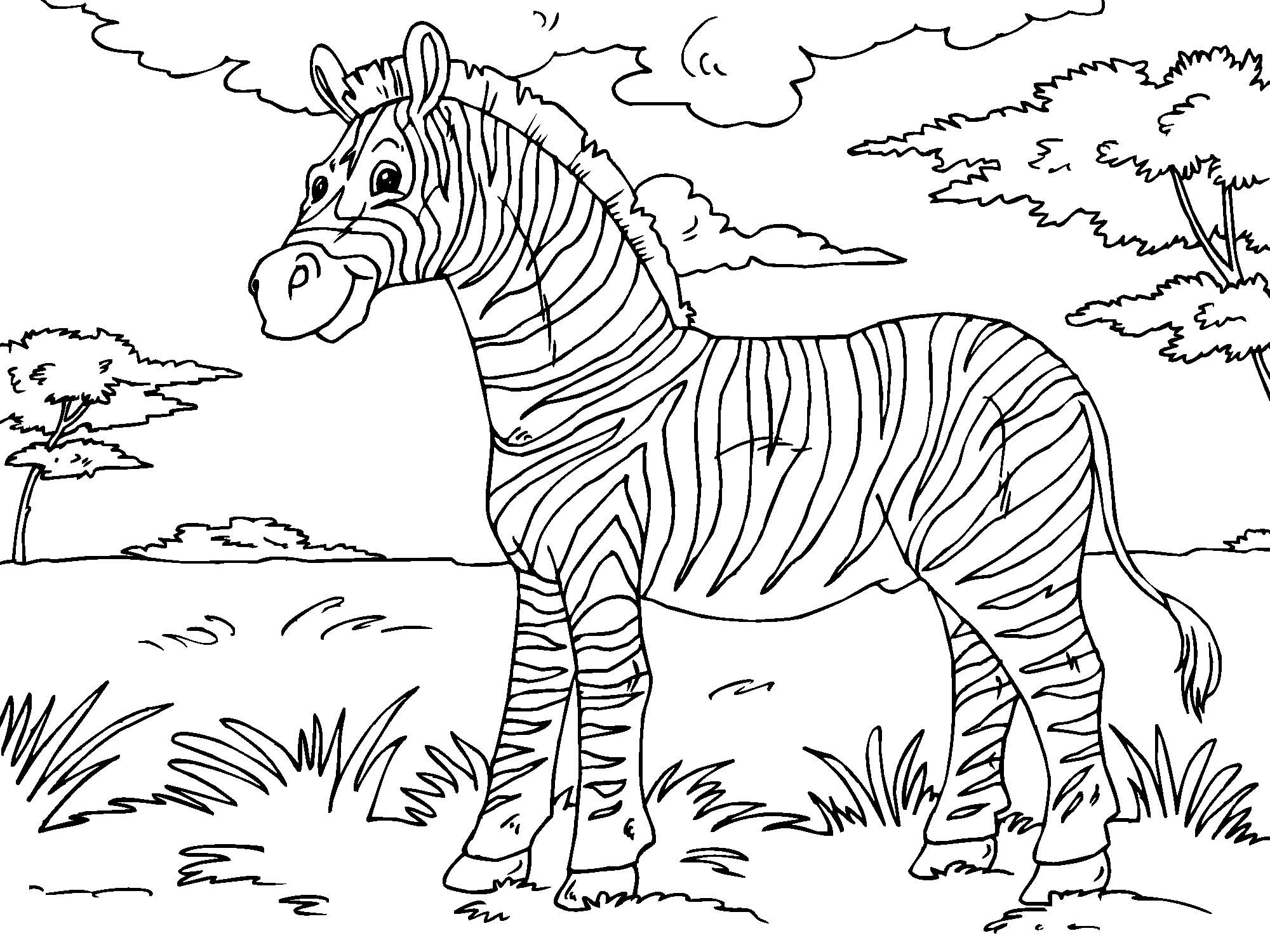 Free Printable Zebra Coloring Pages For Kids Animal Place