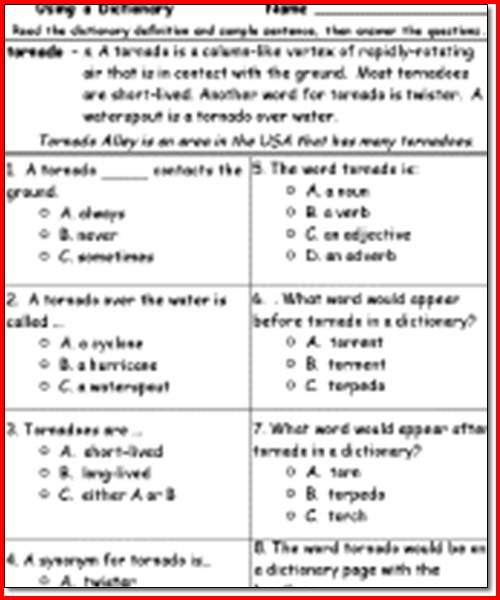 4th grade reading comprehension worksheets