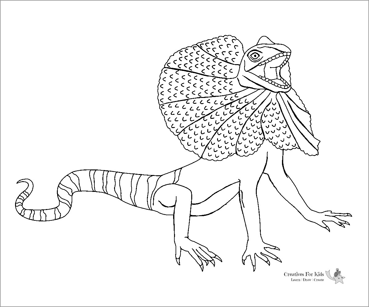 Lizard Coloring Page