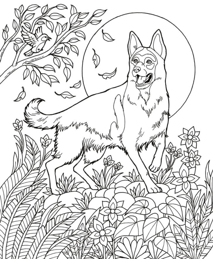 German Shepherd Coloring Pages