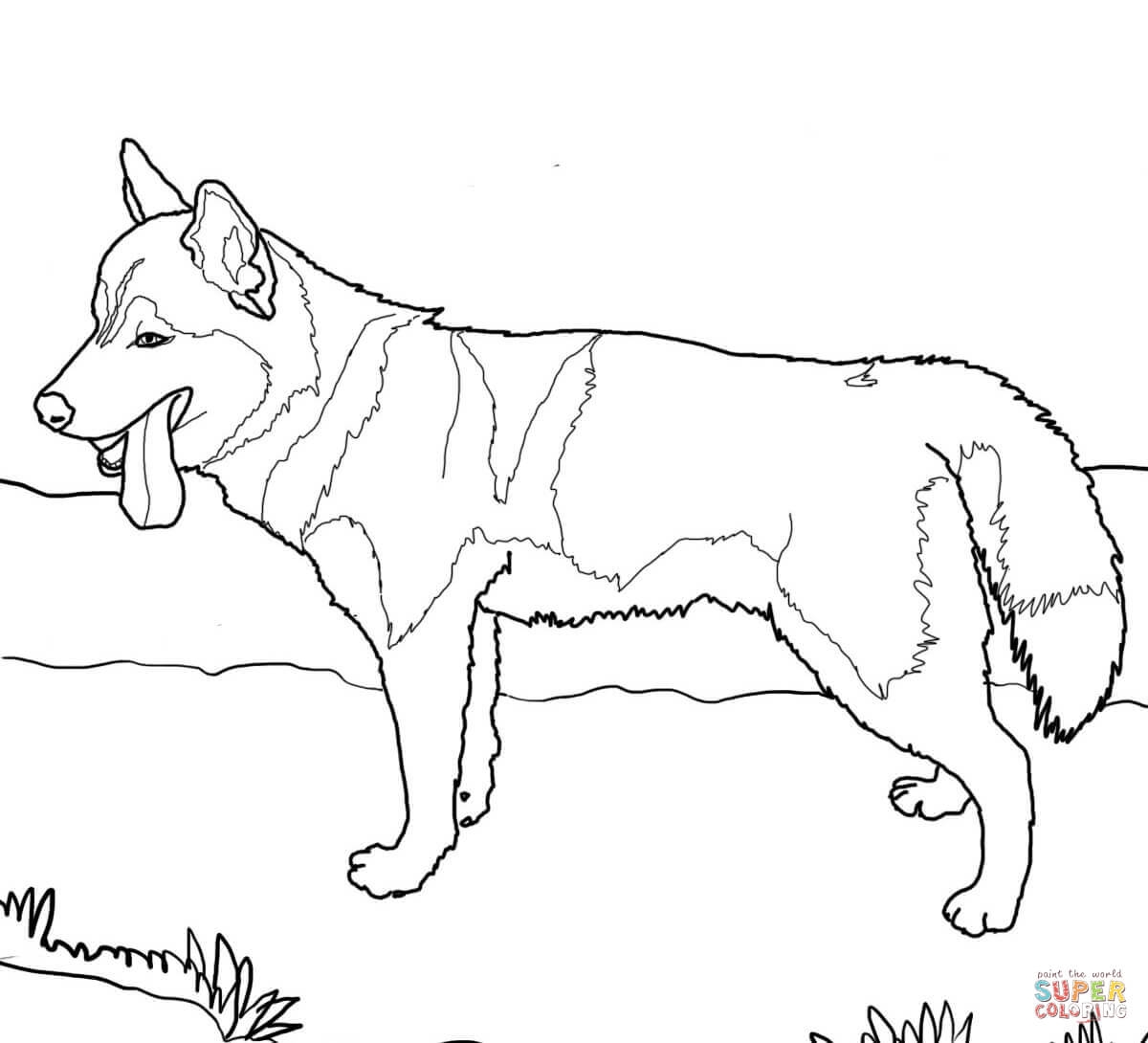 German Shepherd Dog Coloring Pages Coloring Home