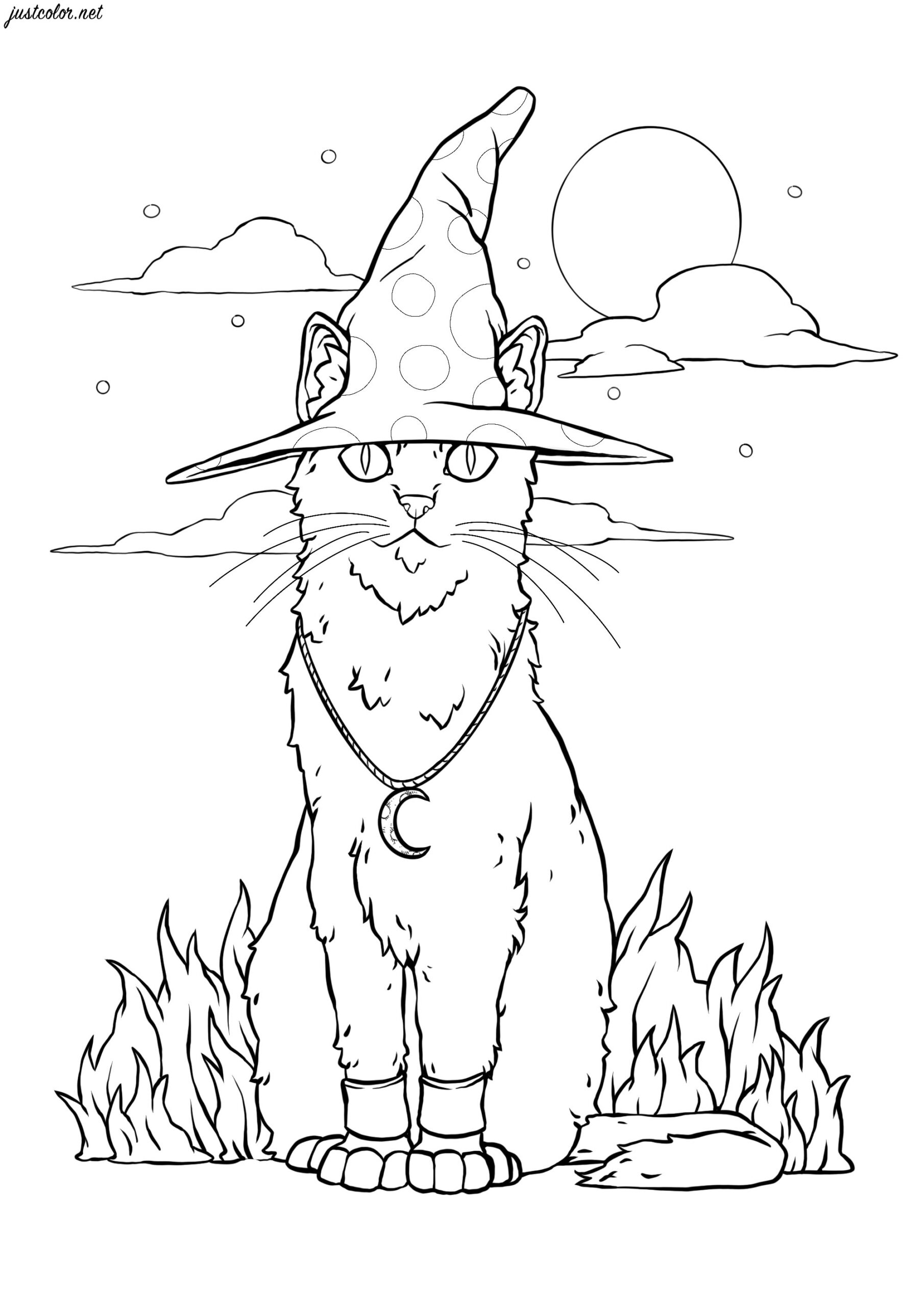 Halloween Witch Cat Halloween Coloring Pages For Kids