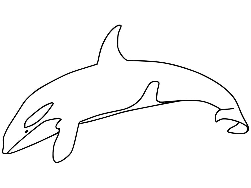 Happy Killer Whale Coloring Page Free Printable Coloring Pages For Kids