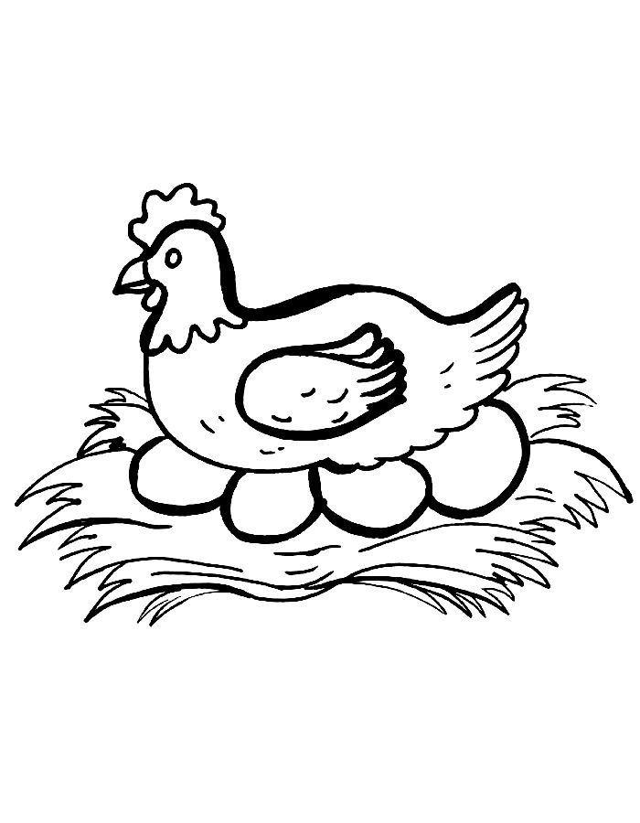Hen Coloring Pages Free Printable PDF 