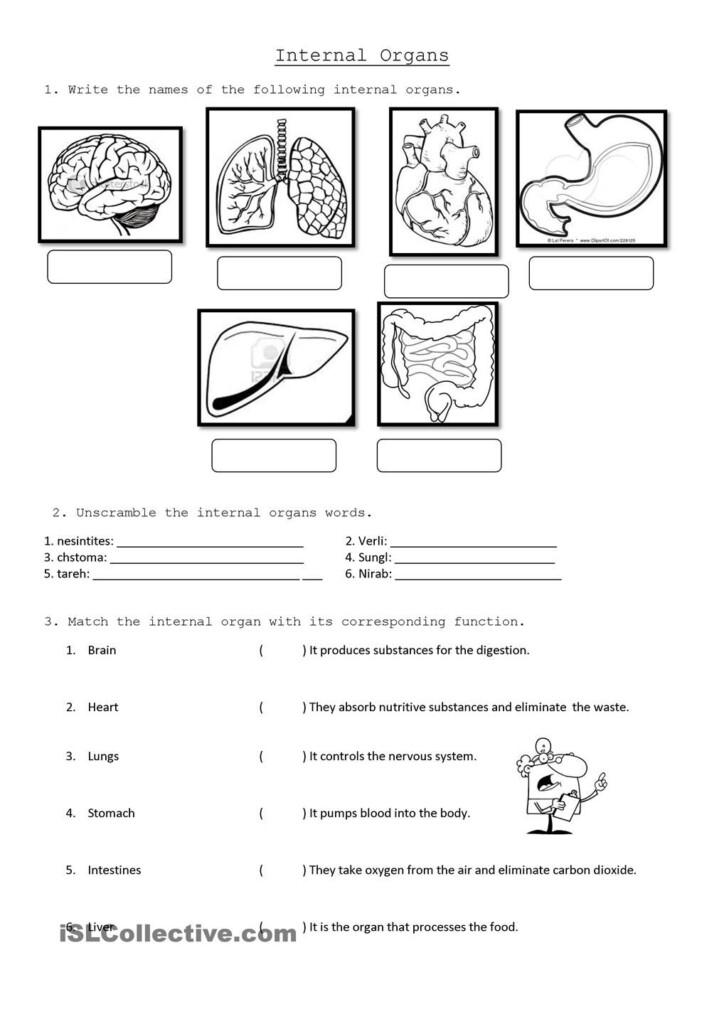 Hsp Science Grade 5 Worksheets Scienceworksheets