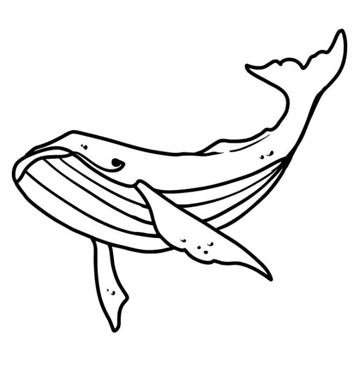 Whale Coloring Page