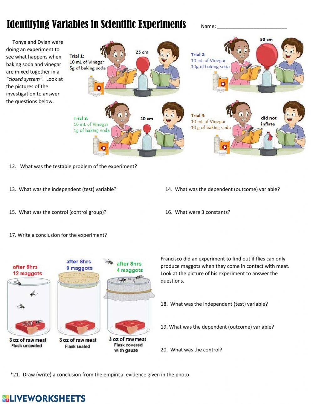 Identifying Variables Worksheet Worksheet Live Worksheets 