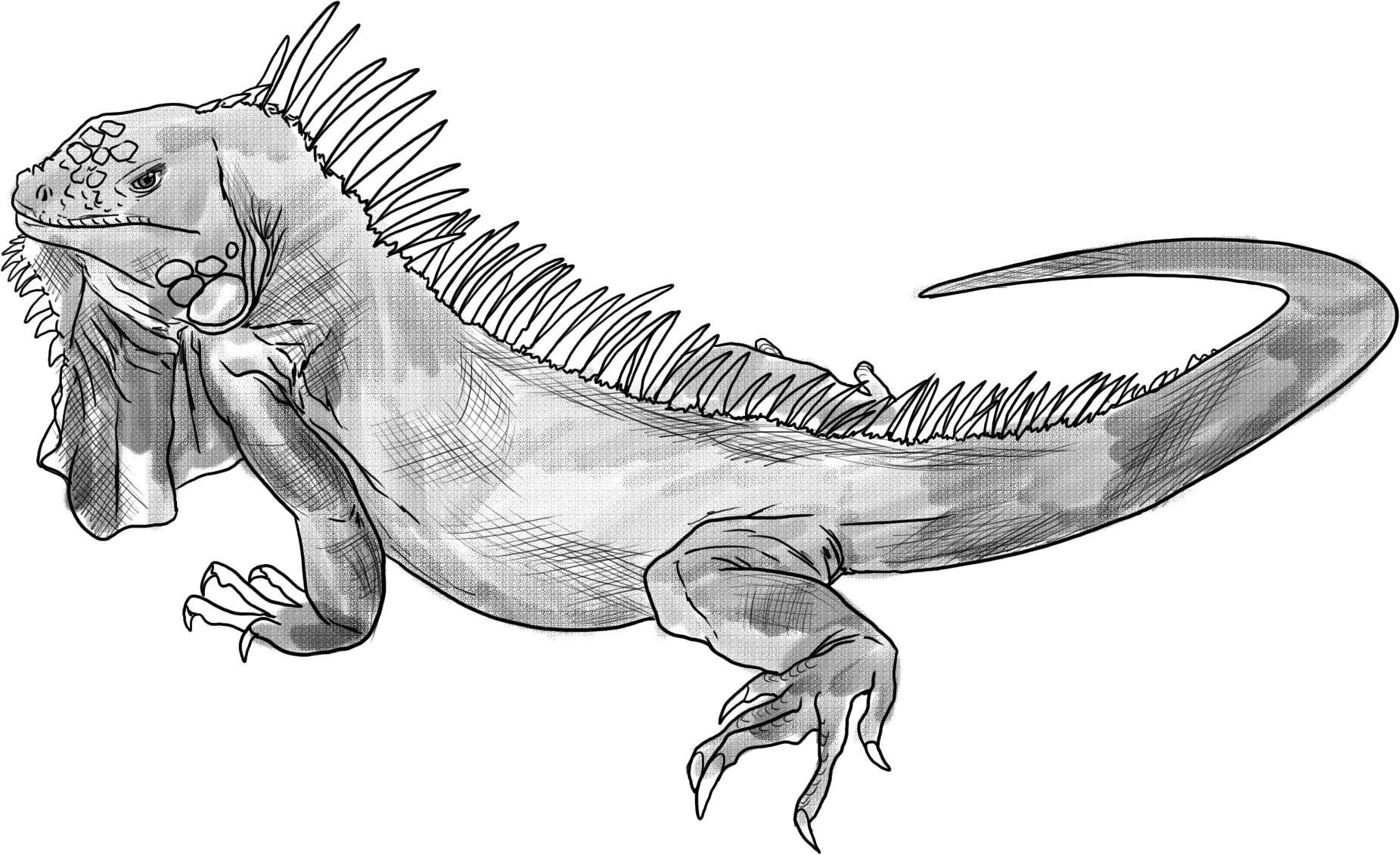 Iguana Printable