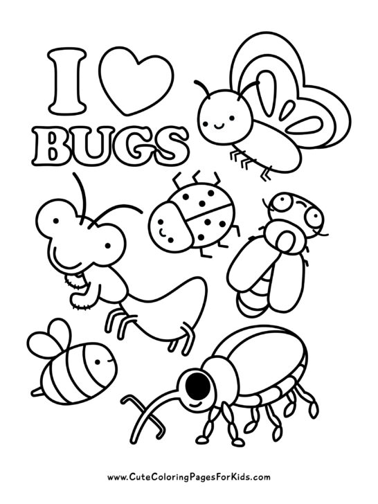 Bug Insect Coloring Pages