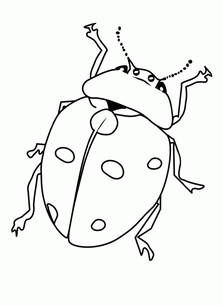 Insect Coloring Pages Free Coloring Home