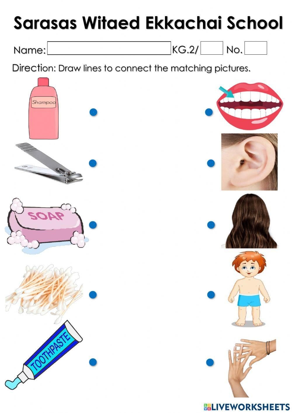 Items Used For Cleaning The Body Worksheet In 2023 Body Preschool 
