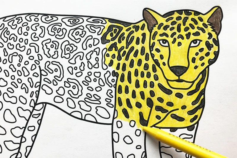 Jaguar Free Printable Templates Coloring Pages FirstPalette
