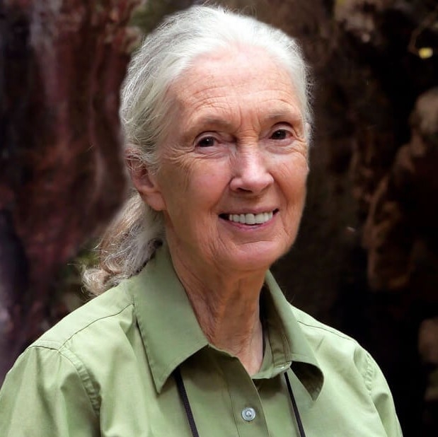 printable pictures of jane goodall