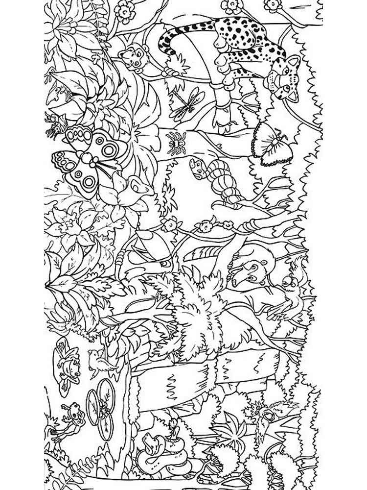 Jungle Coloring Pages
