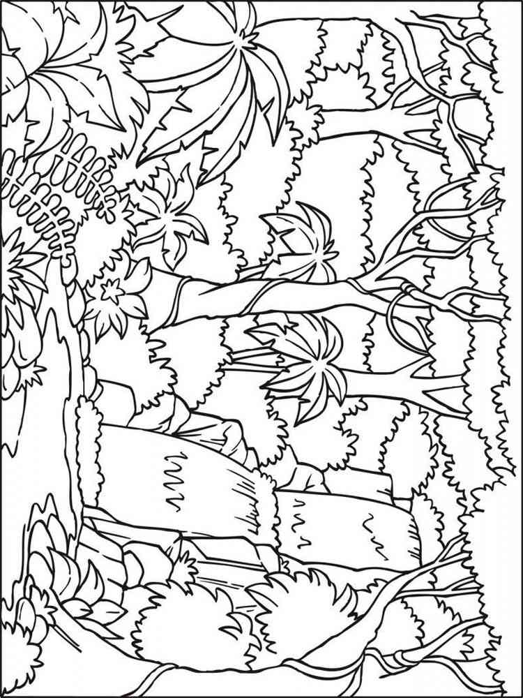 Jungle Coloring Pages