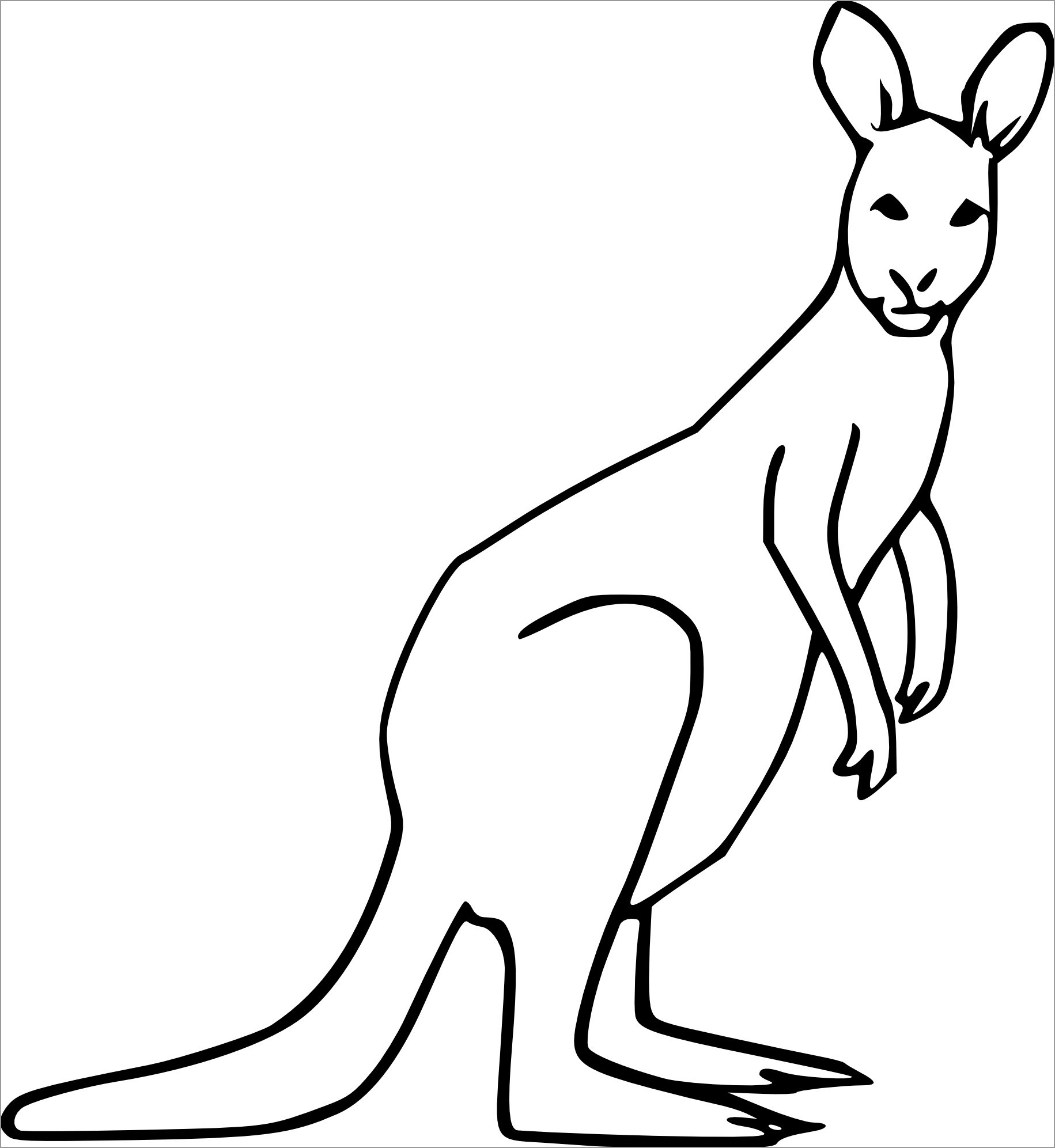 Kangaroo Coloring Pages ColoringBay