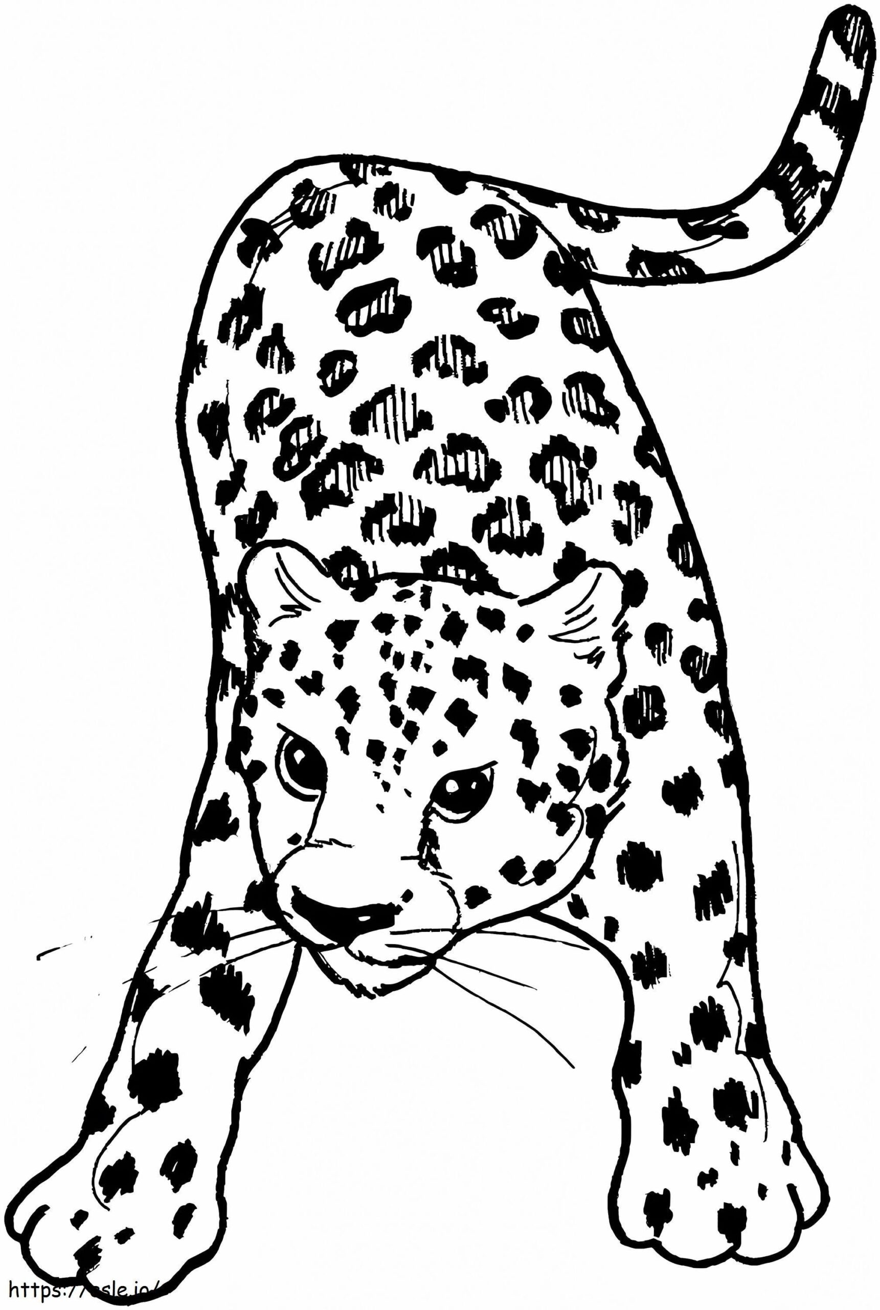 Leopard Printable Coloring Page