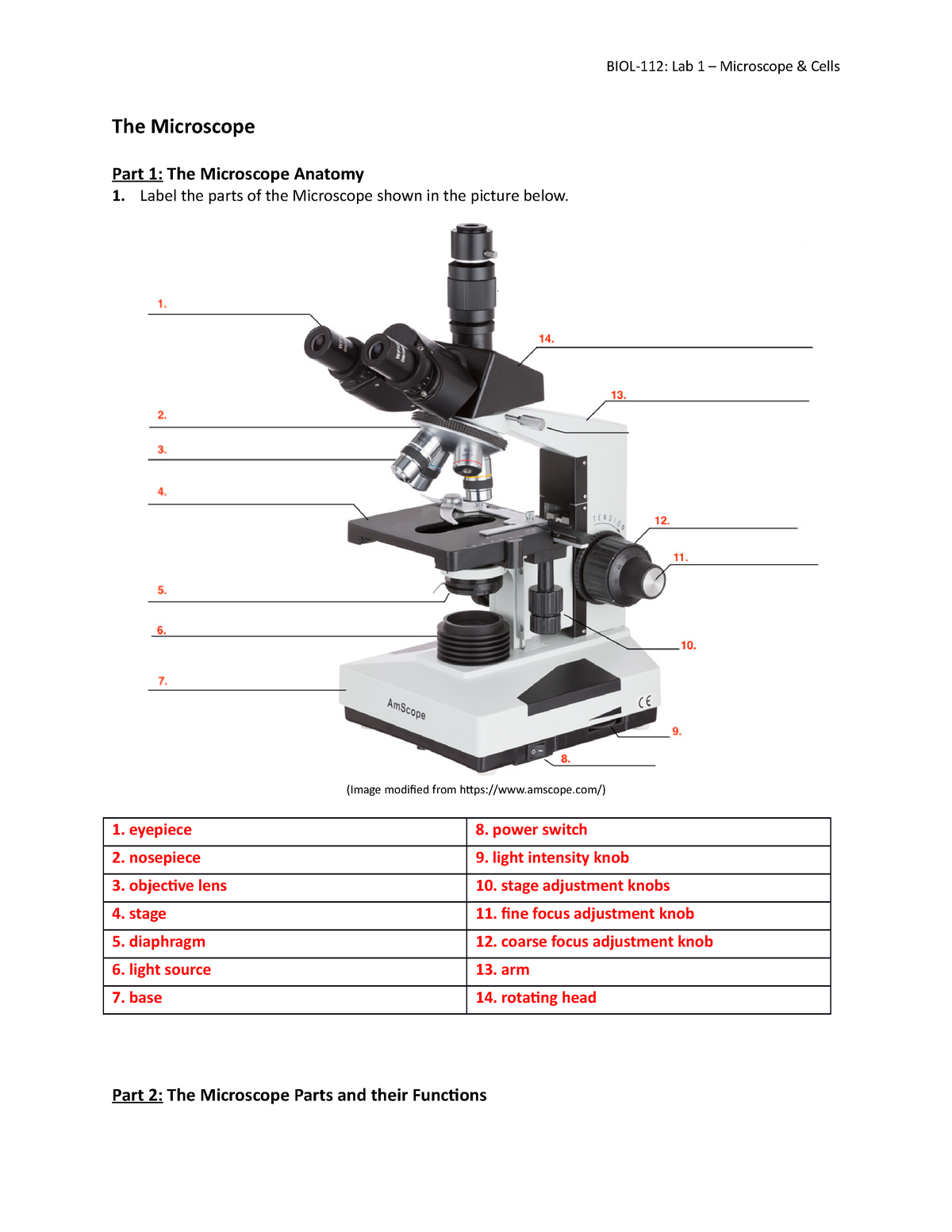 Microscope Diagram Tims Printables Worksheets Library