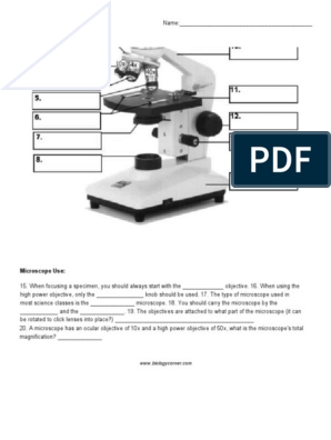 microscope labeling worksheet