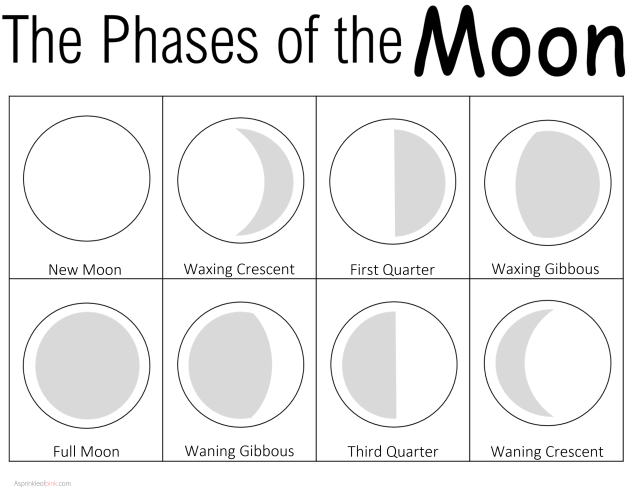Moon Phase Oreo Lab PDF Moon Planetary Science Worksheets Library
