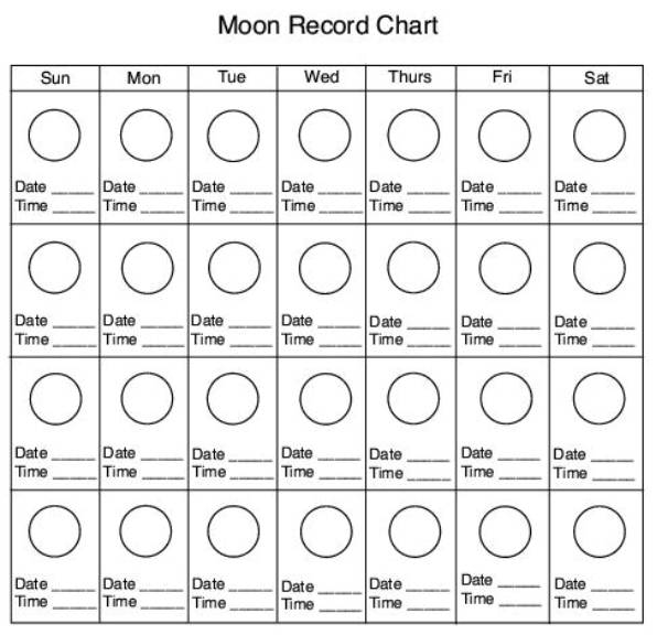 moon phase worksheet
