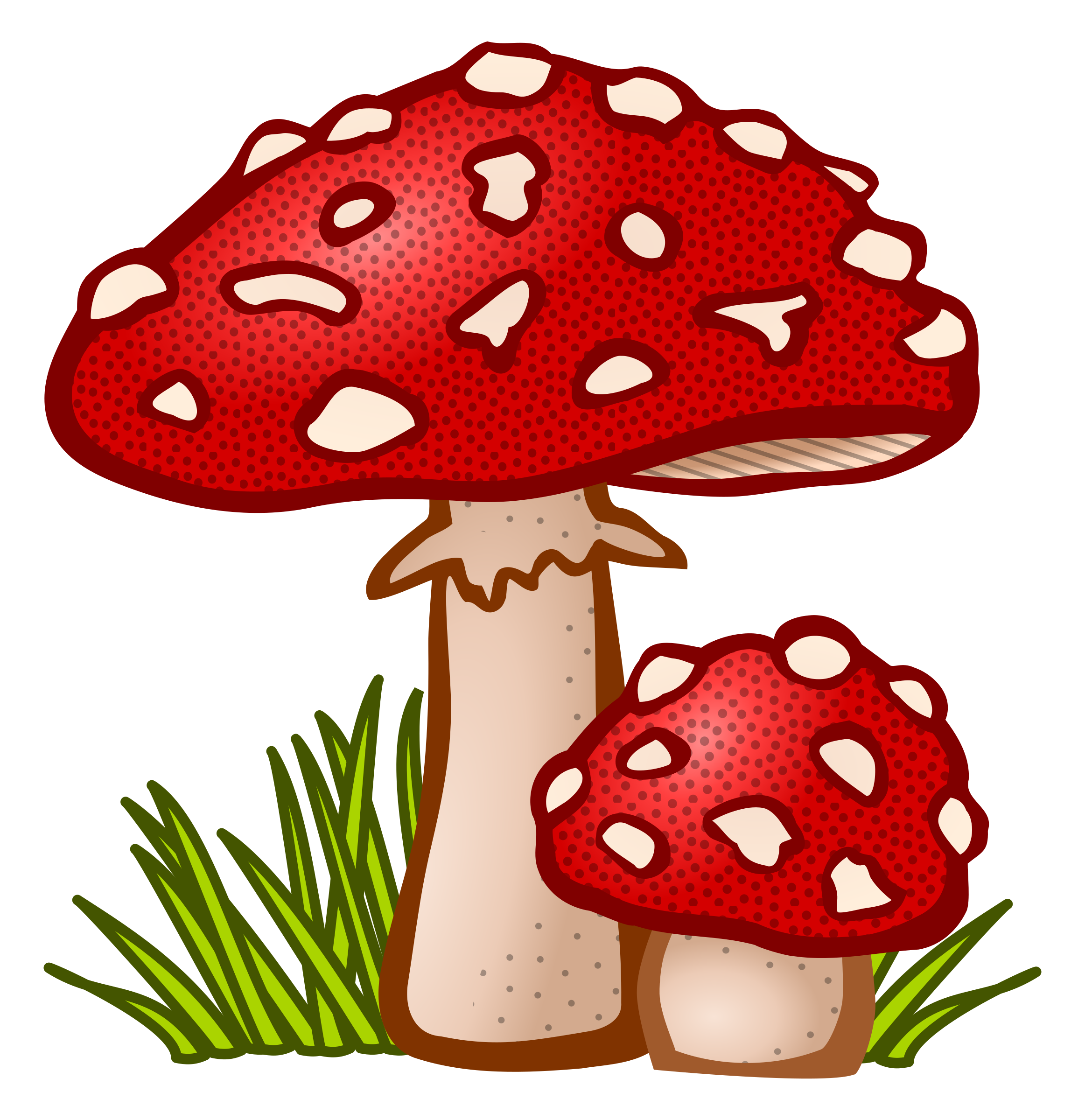 printable mushroom pictures