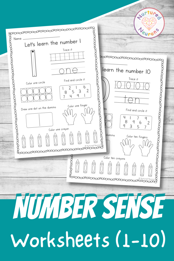 Number Sense Charts Worksheets Alfa Worksheets