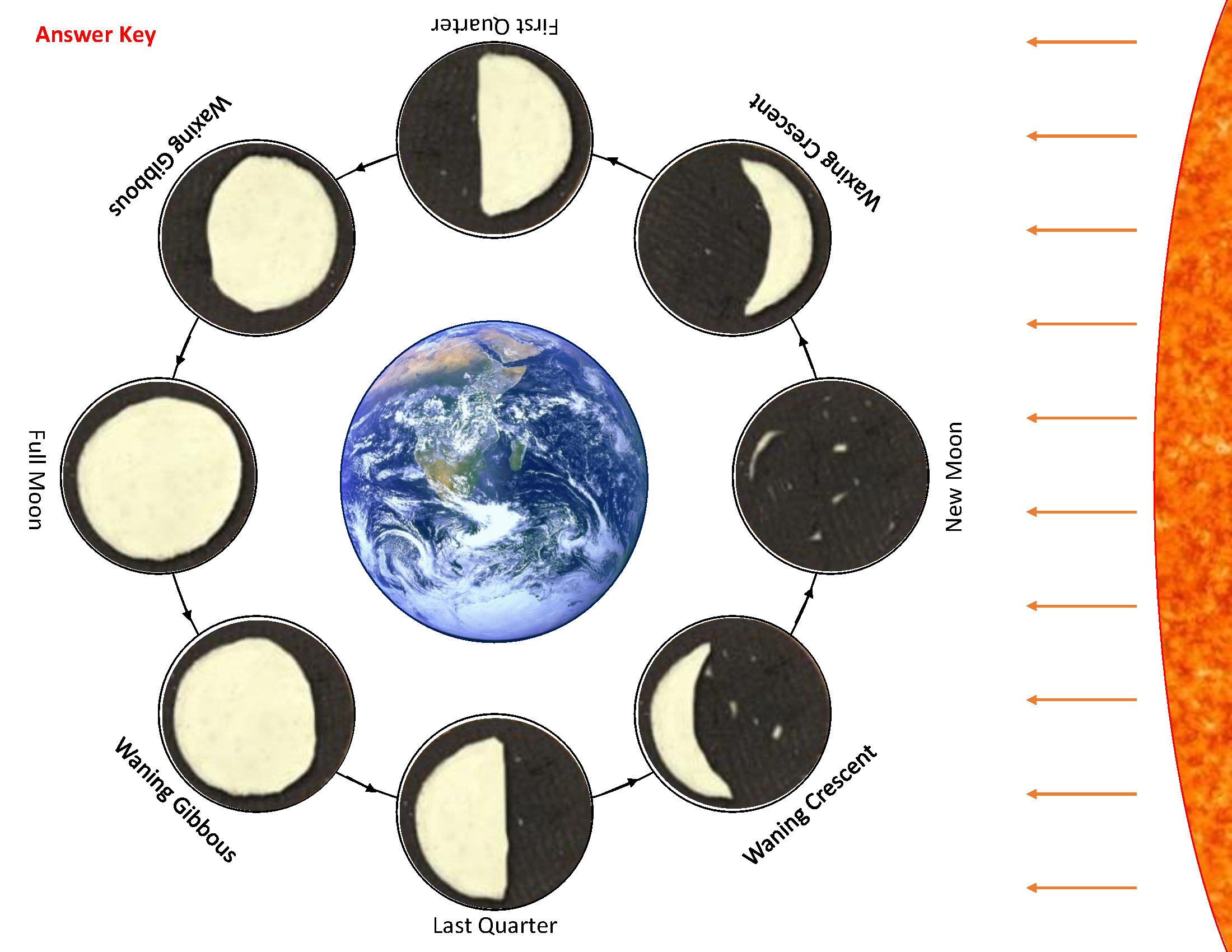Oreo Moon Phase Activity STEM Supplies Worksheets Library