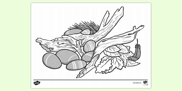 how plants make their organic molecule worksheet